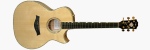 Doyle Dykes Signature Model DDSM Maple